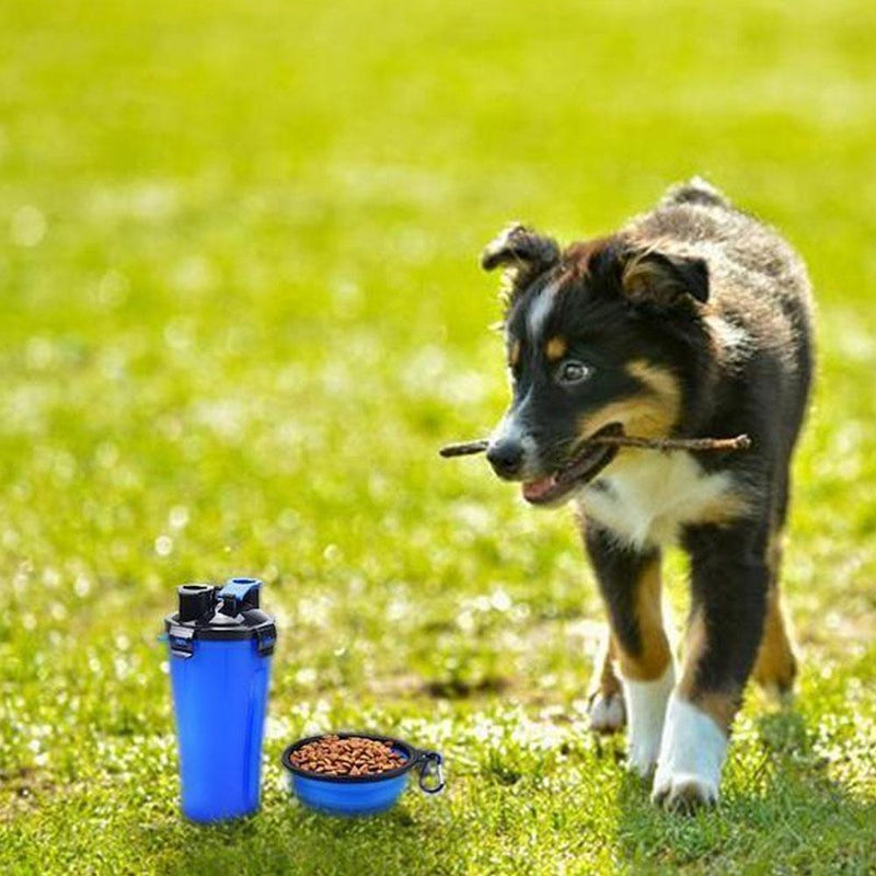 2-in-1 Lemmikin Vesi- ja Ruokapullo Kokoontaitettavalla Kulholla