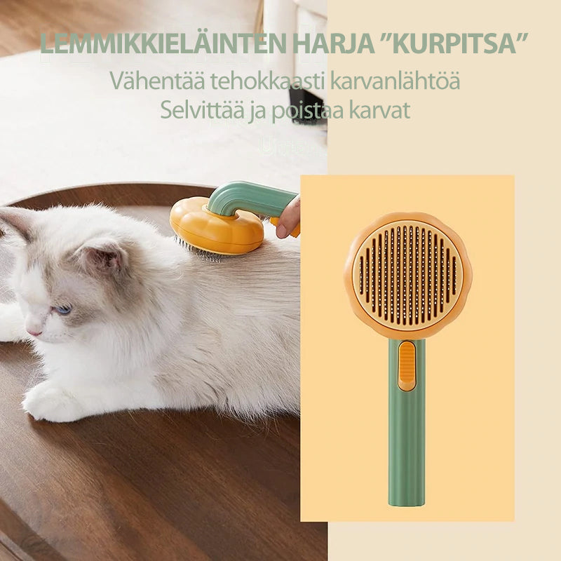 Lemmikkieläinten harja ”Kurpitsa”